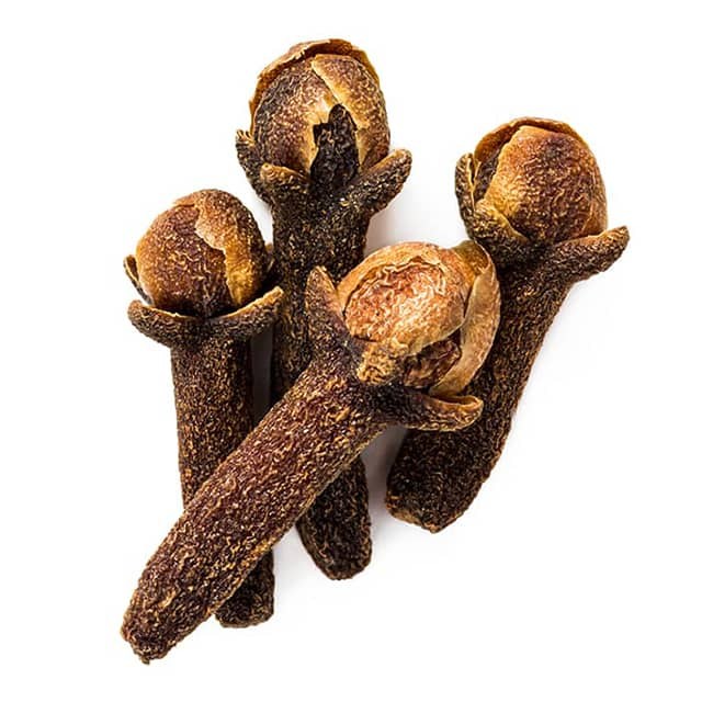 clove_bud8